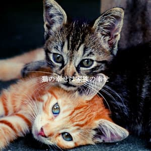 猫の幸せは家族の幸せ - Música para Concentrarse