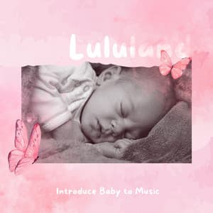 Introduce Baby to Music - Lululand