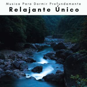 2022 Relajante Único - Musica Para Dormir Profundamente