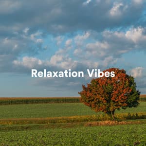 Relaxation Vibes - Spa Music & Meditation Collective