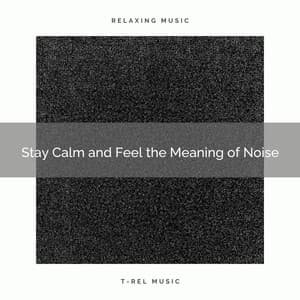 Stay Calm and Feel the Meaning of Noise - Fan Noise for Sleep