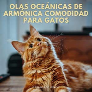 Olas Oceánicas De Armónica Comodidad Para Gatos: Abrazos Costeros - El proyecto de la naturaleza