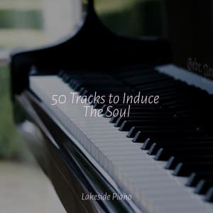 50 Tracks to Induce The Soul - SD