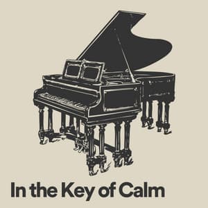 In the Key of Calm - Soft Music