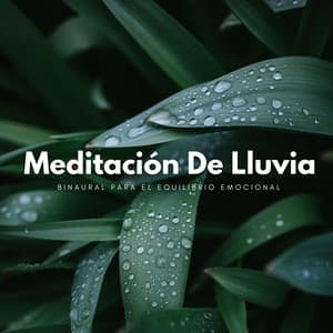 Meditación De Lluvia Binaural Para El Equilibrio Emocional - Aumento del sexo y la intimidad - Meditación Binaural Beat