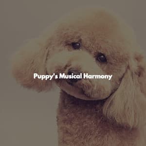 Puppy's Musical Harmony - Smooth Jazz Radio