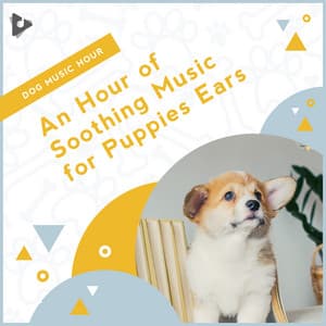 An Hour of Soothing Music for Puppies Ears - Dog Music Hour