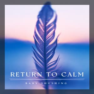 Return to Calm - Baby Shushing