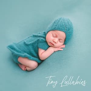 Tiny Lullabies: Gentle & Soothing Songs for Newborn’s Safe Sleep - Blend in Bed Sleep Academy