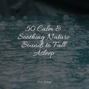 50 Calm & Soothing Nature Sounds to Fall Asleep - White Noise Relaxation
