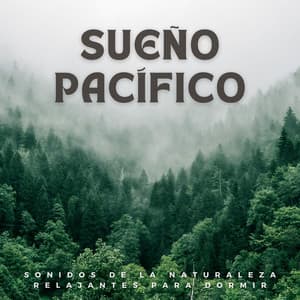 Sueño Pacífico: Sonidos De La Naturaleza Relajantes Para Dormir - Naturaleza suena colaboración