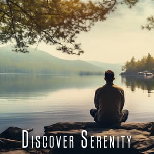 Discover Serenity: The Soul of Your Peaceful Oasis - Stress Relief Calm Oasis