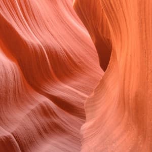 Music for Spring Bliss - Música Ambiental para Cafeterías