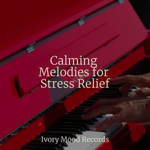 Calming Melodies for Stress Relief - Ivory Mood