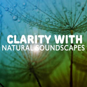 Clarity with Natural Soundscapes - Sounds Of Nature