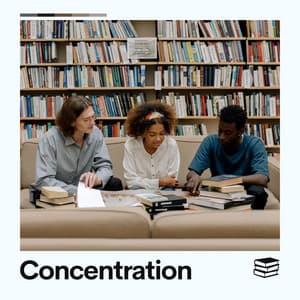 Concentration - Working Music Solitude