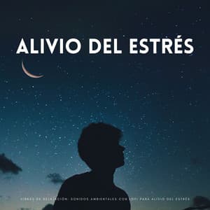 Vibras De Relajación: Sonidos Ambientales Con Lofi Para Alivio Del Estrés - Chill Vaca Lofi