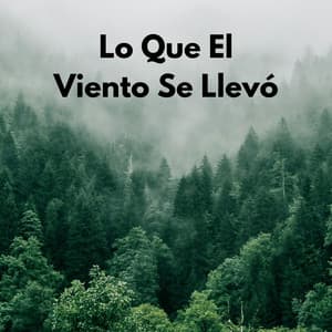 Lo Que El Viento Se Llevó - Cuatro Vientos