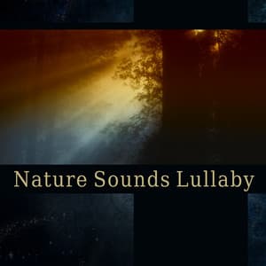Nature Sounds Lullaby – Restful & Serene Music to Help You Sleep, Natural Ambiences, Blissful Repose, Restoration, Evening Meditation - Deep Sleep Group
