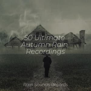 50 Ultimate Autumn Rain Recordings - Relajación