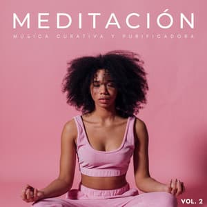 Meditación: Música Curativa Y Purificadora Vol. 2 - Conjunto de música de meditación Bugghist