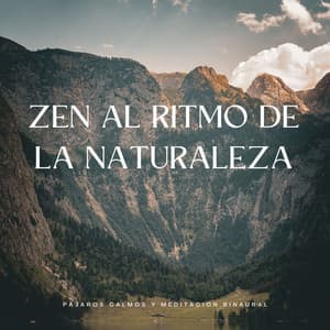 Zen Al Ritmo De La Naturaleza: Pájaros Calmos Y Meditación Binaural - Pájaros del Bosque