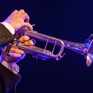 Soft Jazz Melodies to Calm Your Soul - Ultimate Coffee Shop Calm