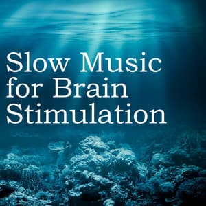 Slow Music for Brain Stimulation - Ocean Waves, Water Sound & Relaxing Music - Lucy Blacktop