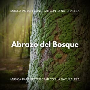 Abrazo del Bosque: Música para Reconectar con la Naturaleza - Musica Relajante