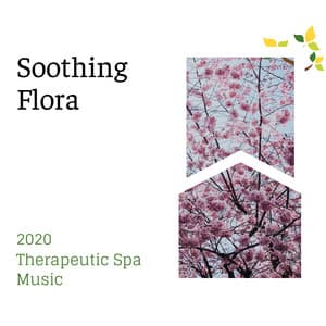 Soothing Flora - 2020 Therapeutic Spa Music - Spa Music Relaxation