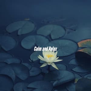 Calm and Relax - Study Jazz