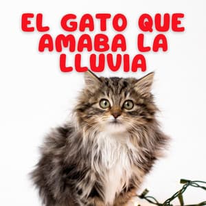 El Gato Que Amaba La Lluvia - Musica Lluvia Tranquila