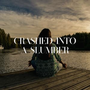 Crashed into a Slumber - Meditation Guru