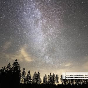 Gentle Night Cricket Sounds - Night Sounds