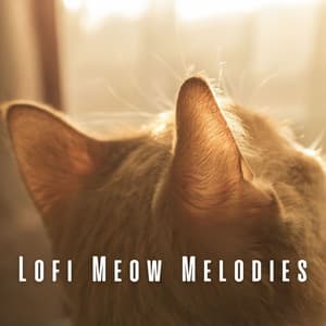 Lofi Meow Melodies: Soothing Tracks for Peaceful Cats - lofi