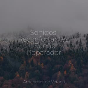 Sonidos Reconfortantes | Sueño Reparador - Guitarra Clásica Española