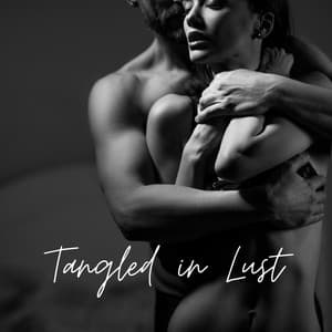 Tangled in Lust: Sensual Beats for Lovers - Slow Sensual Relation