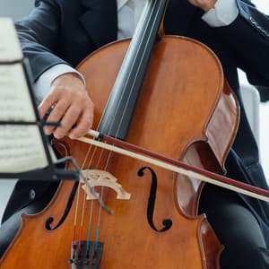 Serene Strings: Orchestra for Tranquil Evenings - Charles Anderson