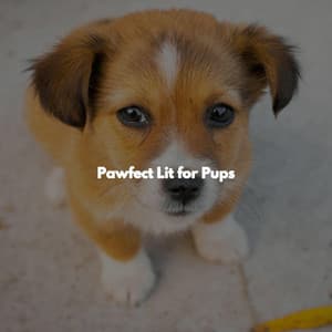 Pawfect Lit for Pups - Classy Dinner Music
