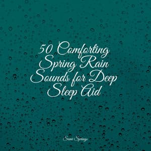 50 Comforting Spring Rain Sounds for Deep Sleep Aid - Soothing Nature Sounds