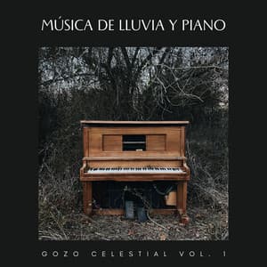 Música De Lluvia Y Piano: Gozo Celestial Vol. 1 - Radio jazz suave