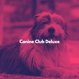 Canine Club Deluxe - Deluxe Elevator Music