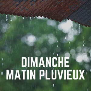 Dimanche Matin Pluvieux - Hi-Def FX