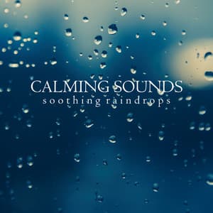 Calming Sounds: Soothing Raindrops - Background Noise From TraxLab