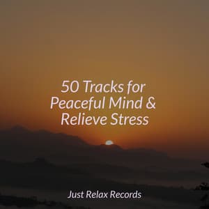 50 Tracks for Peaceful Mind & Relieve Stress - Meditar Profundamente