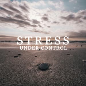 Stress Under Control - Full Rest, Recovery Freshness, Soothing Remedy, Zen Peace - Less Stress Music Academy