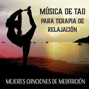 Música de Tao para Terapia de Relajación - Mejores canciones de meditación, Ambiente de bosque, Yoga, Spa, Thai Chi - Academia de Sonidos de la Naturaleza para el Masaje