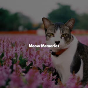 Meow Memories - Piano Bar Lounge