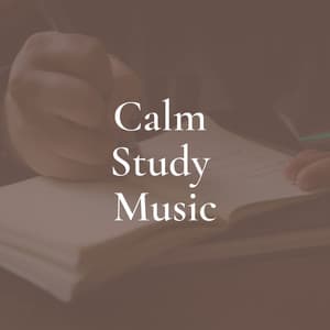 Calm Study Music - Study Ambient