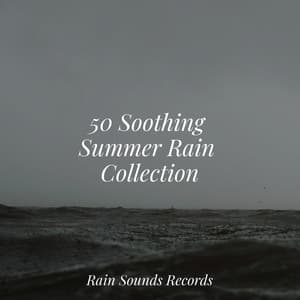 50 Soothing Summer Rain Collection - Sonidos De Truenos y Lluvia